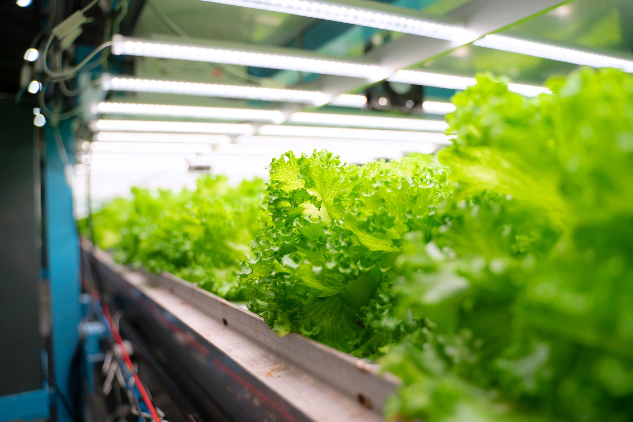 Controlled agritech research environment