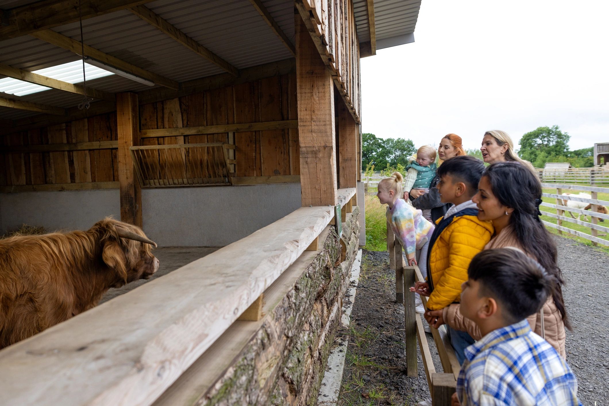 Livestock farm setting with goats and sheep
