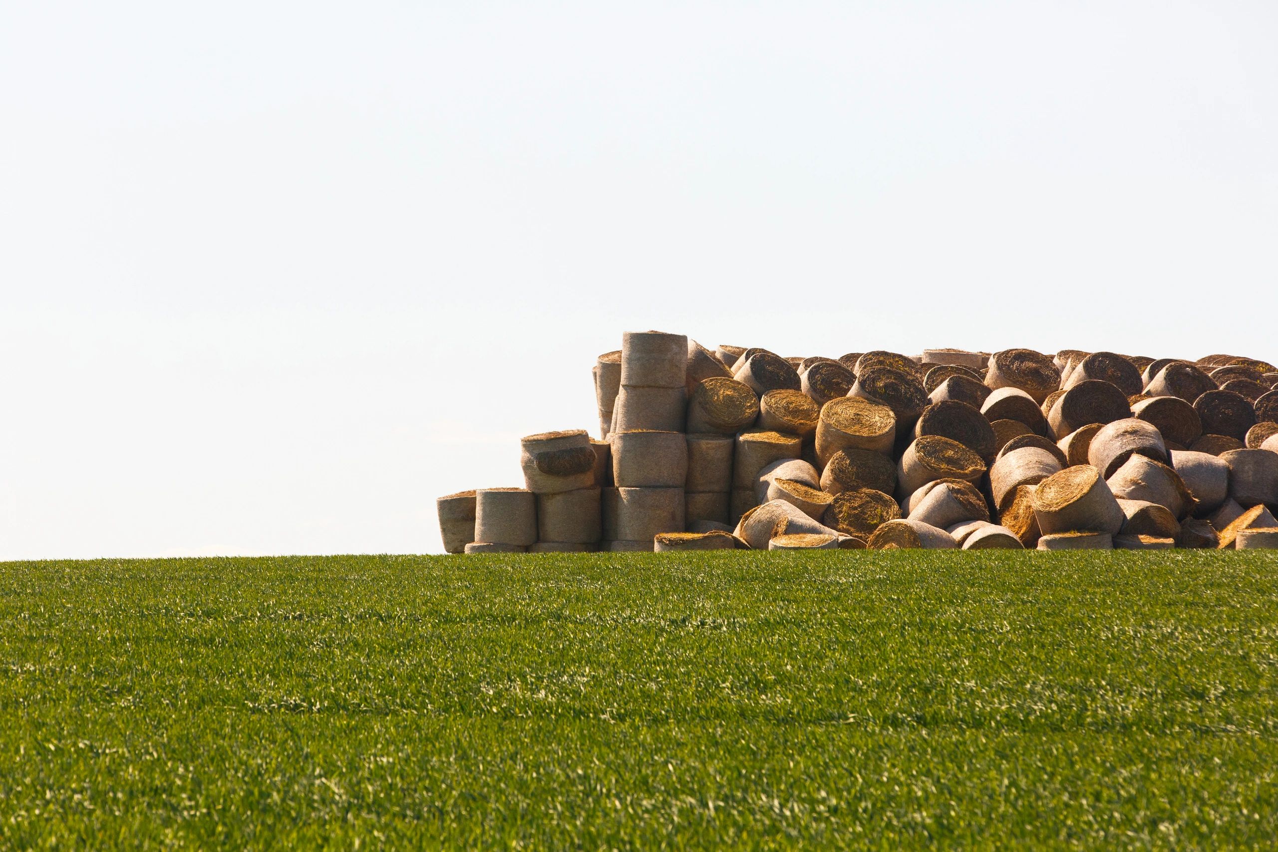 Prepared animal fodder on a farm